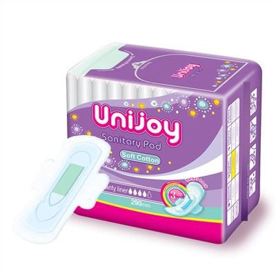 Daily Use Disposable Saniatry Pads